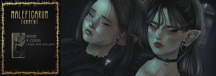 torment. maleficarum