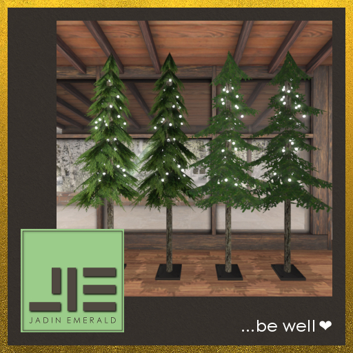 Modern Alpine Christmas Trees (Set of 4), Tall and Narrow Style, Fir, with White Lights - C/M (Wear to Unpack)