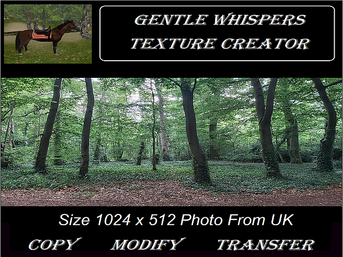 Woodland Texture 