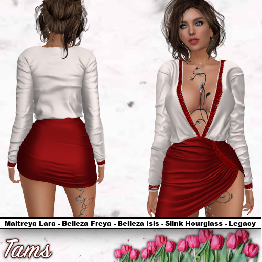 Long Sleeved Dress - Mariah