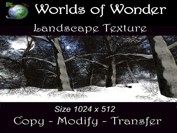 WoW Winter Dreams Landscape Texture