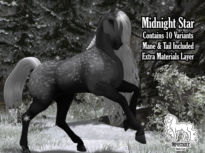 Impostable: Midnight Star Coat // Appaloosa with Dapple