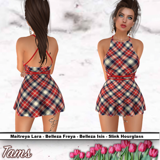 Bust Tied Dress - Elfie