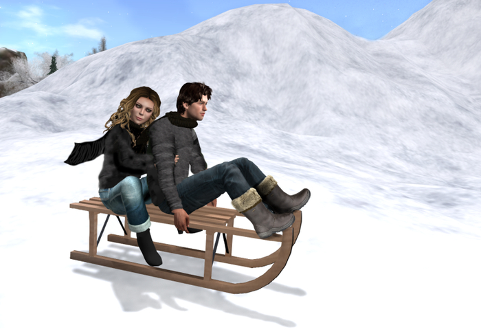  Sled two seater