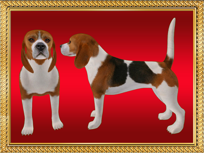 RI-BEAGLE DOG STATUE C/M