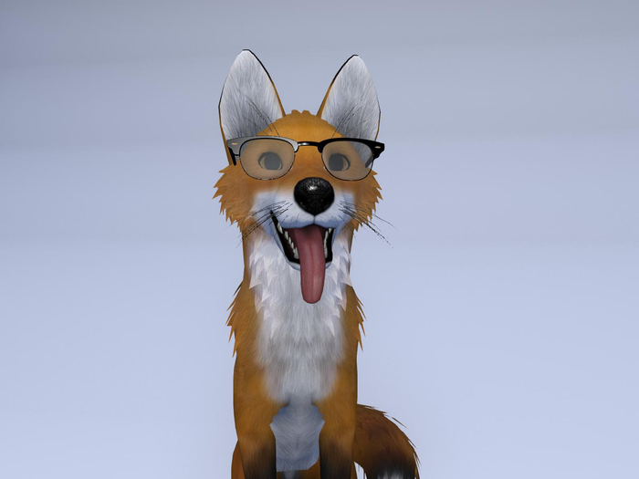 Clubmasters Glasses CM-113 Fatpack