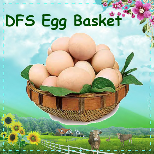 DFS Egg Basket(TEXTURE)