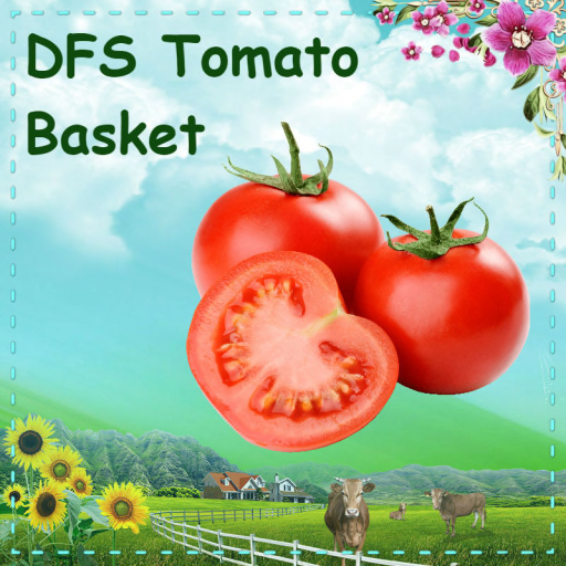 DFS Tomato Basket(TEXTURE)