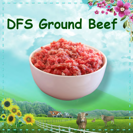 DFS Ground Beef(TEXTURE)