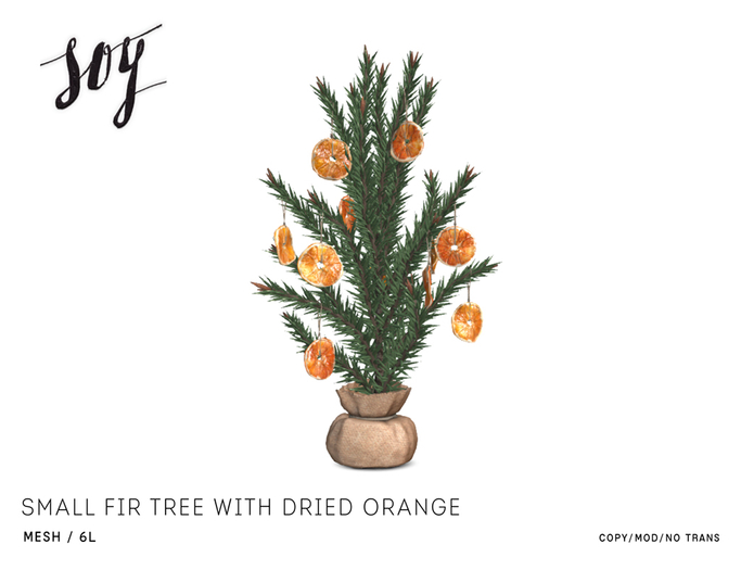 Soy. Small Fir tree with Dried Orange [addme]