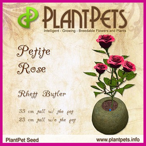 PlantPet Seed [Petite Rose *Rhett Butler*]