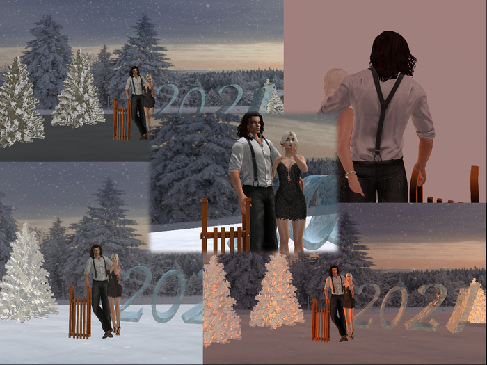 2021 - Sleigh Backdrop V