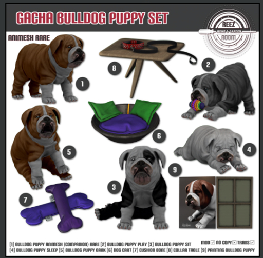 [Rezz Room] Box Painting Bulldog Puppy