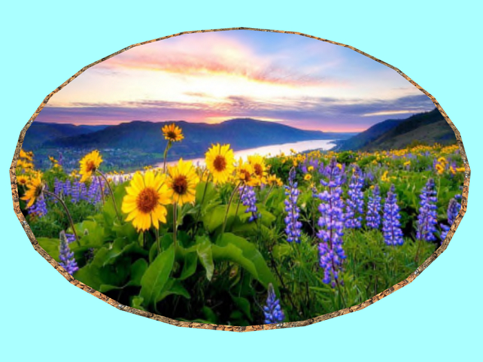 Retro Landscape-Spring Flowers