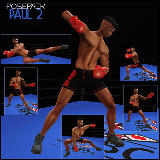 .:F L O Y D:.Paul Pose Pack 2