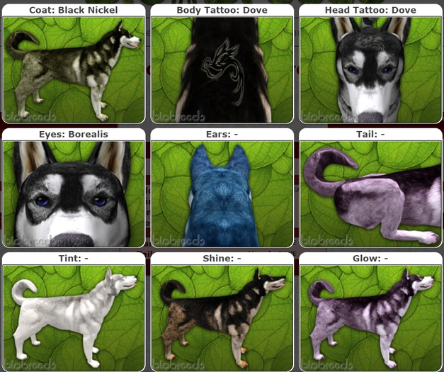 BB Husky Box