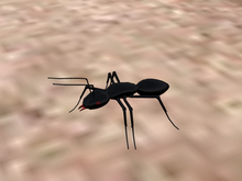 TM Walking Black Ant - Say Go or Home - Animated