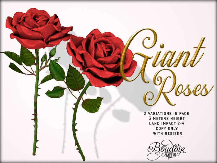 Boudoir Wonderland-Giant Roses