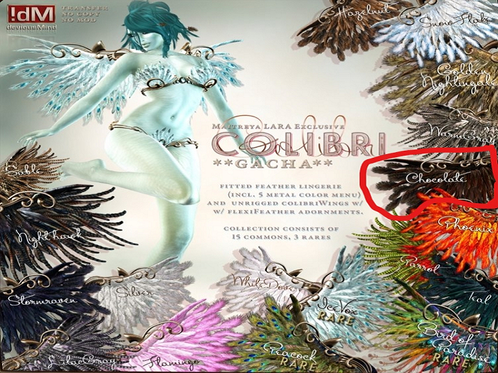 !dM Colibri **CHOCOLATE** (BOX #8 LARA)