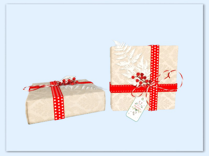 [AE] Gift Box Store - Snowflake and Berries  2