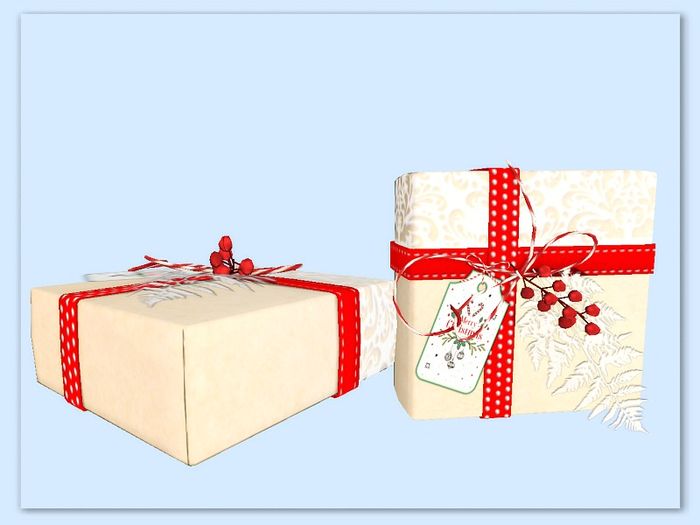 [AE] Gift Box Store - Snowflake and Berries