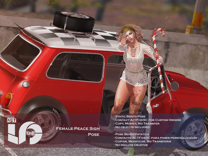 ACT5-593-Female Peace Sign Pose BOXED 