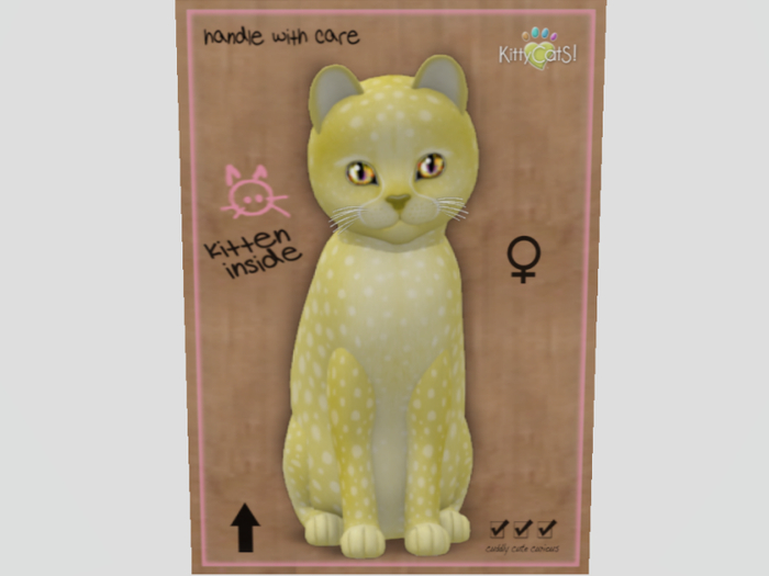 2020 Cheetah! Cheetah! - Lemon F Normal