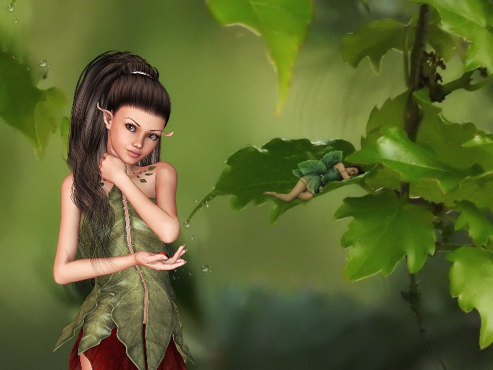 Fairy 08