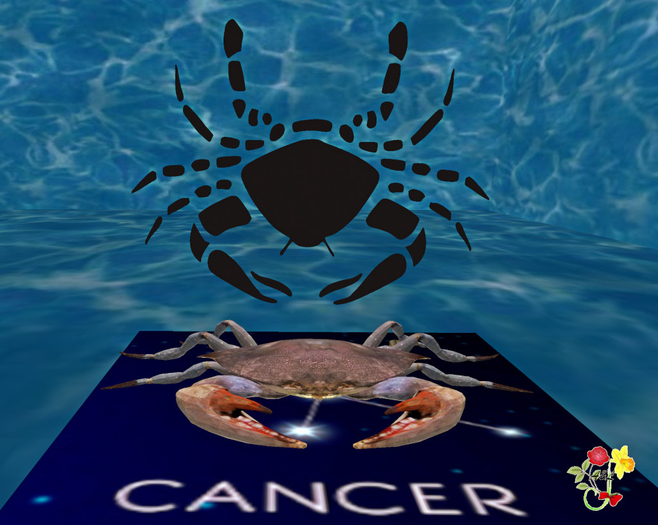Cancer Backdrop 