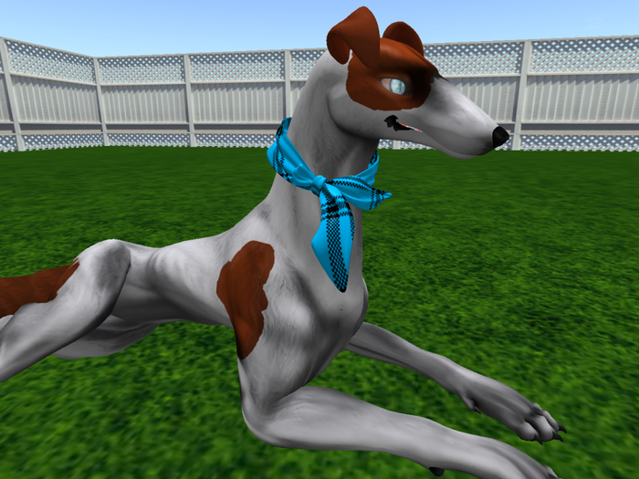 NM's Color Changing Scarves (Hellhund) Boxed