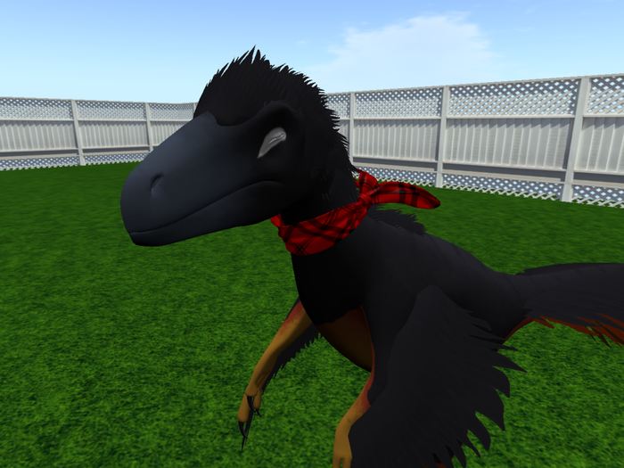 NM's Color Changing Scarves (+CAF+ Utahraptor) Boxed