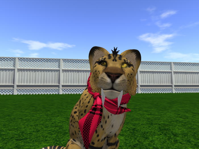 NM's Color Changing Scarves (TWI Lion) Boxed