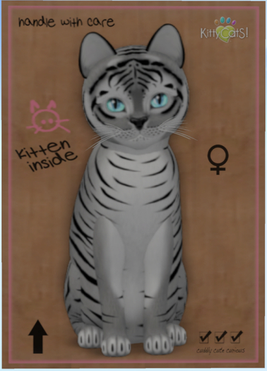 KittyCatS Box - Tiger! - Shadow