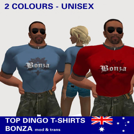 BONZA shirt in 2 colours