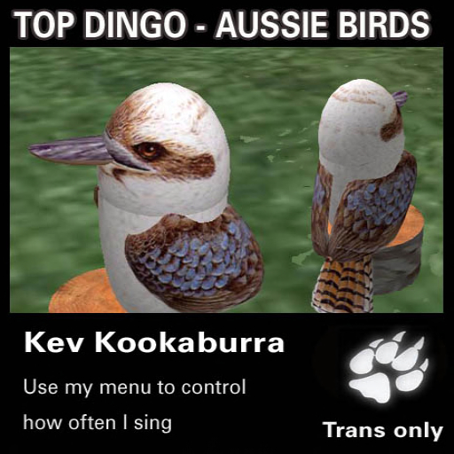Kevin the Kookaburra