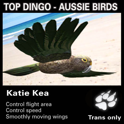 Flying Birds - Katie Kea