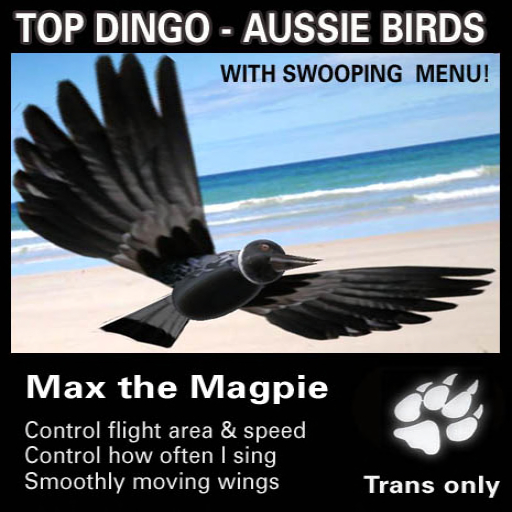 Flying Birds - Max Magpie