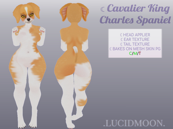 .LUCIDMOON. CKCS BOM (F)