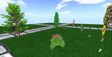 Art Designer -set garden plant