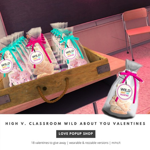 [high v.] classroom valentines wild about you (rez & wear) 18
