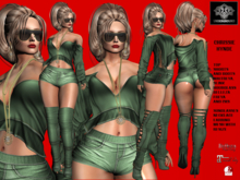 **CHRISSIE HYNDE GREEN ROCKER STYLE COMPLET OUTFIT** (WEAR)