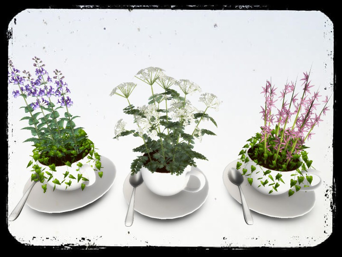 [AE] Home Decor - Teacup Flower Pot SET