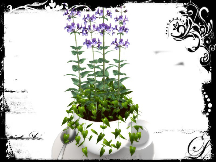 [AE] Home Decor - Teacup Flower Pot -Faith