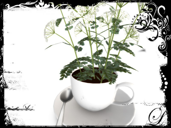 [AE] Home Decor - Teacup Flower Pot -Hope