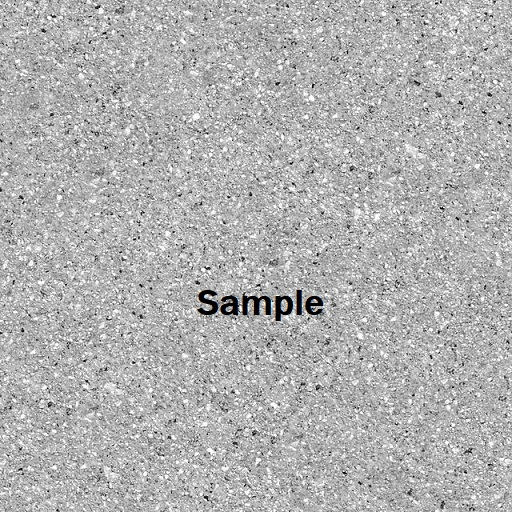 Cement Grey Texture Seamless CMT