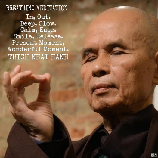 Thich Nhat Hanh "Calm, Ease" Meditation Cube & HUD