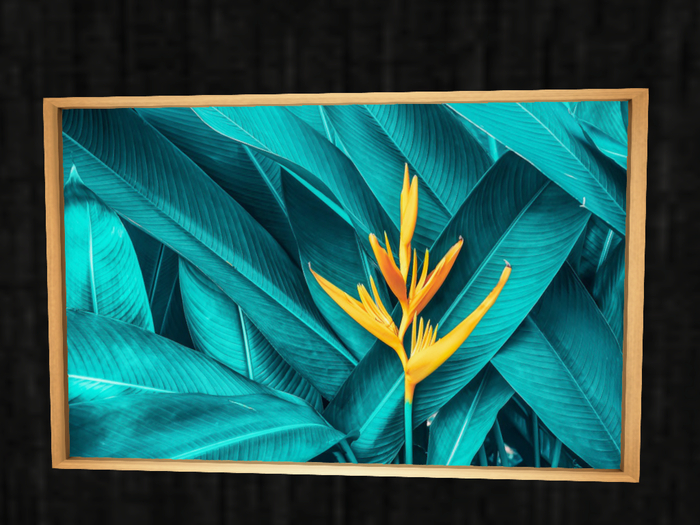 .:Emerald Dreams:. Delicate Purity Picture