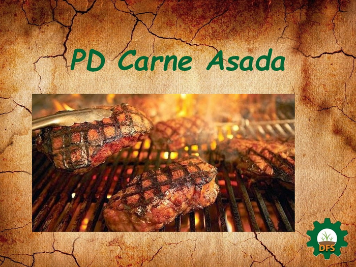 DFS Texture PD Carne Asada