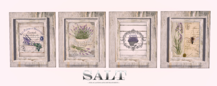 [SALT] - The Lavender Collection