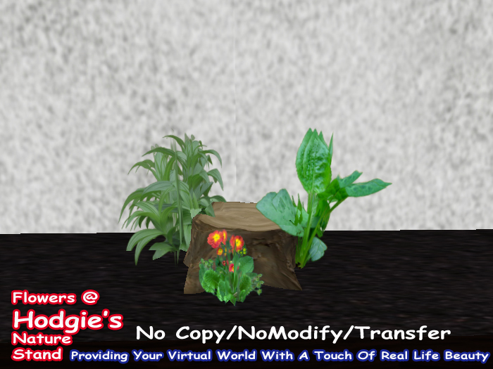 Stump Arrangement With Orange Primrose Plant